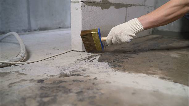 SJ Waterproofing Pros Crawl Space Encapsulation coverage map for Avoca, NY and surrounding area